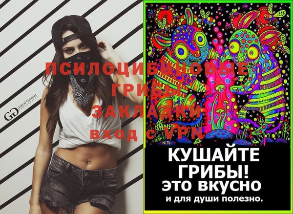 гидропоника Богородицк