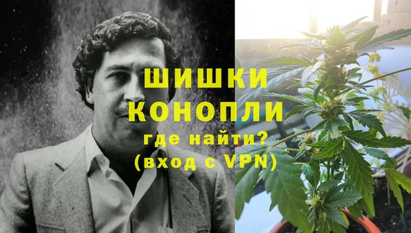 тгк Богданович
