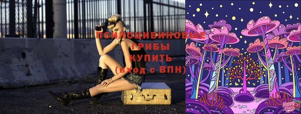гидропоника Богородицк