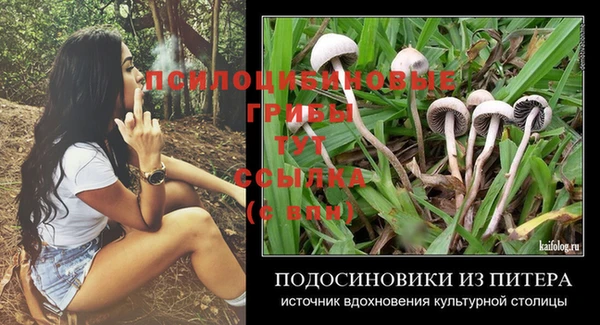 гидропоника Богородицк